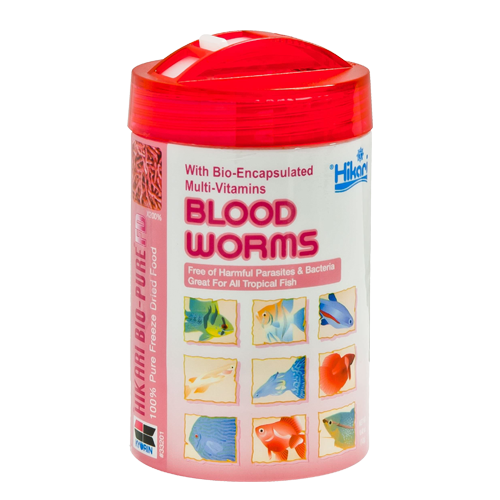 FD Blood Worms